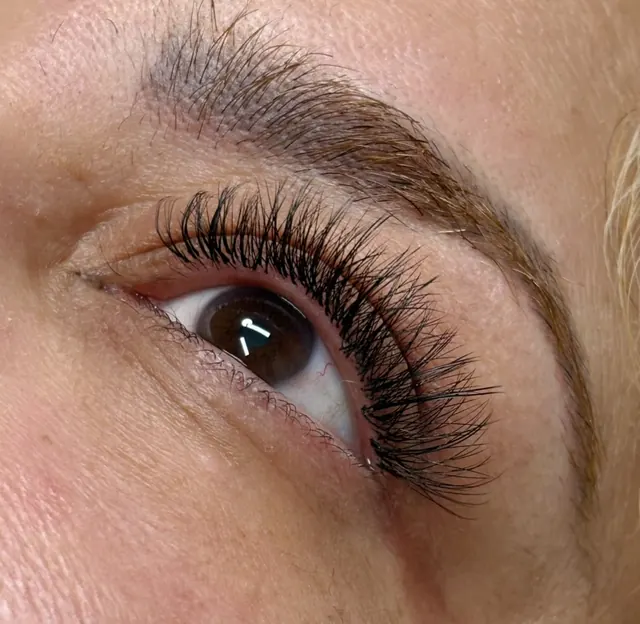 Light volume lash extensions with soft, airy fans